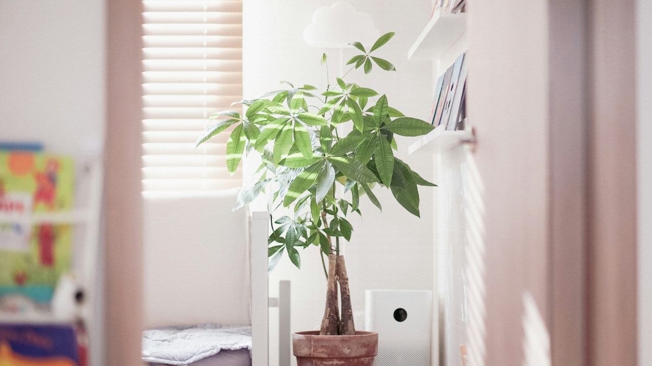 Dust Making You Sick? How Can HEPA Air Purifiers Improve Indoor Air Quality?