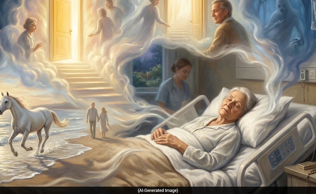 The Art of Baking: From Classic Bread to Artisan Pastries