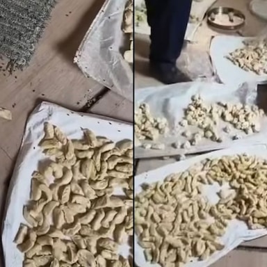 Momos Swarmed By Flies, 20 Litres Coloured Chutney Seized In Kanpur Food Safety Raid