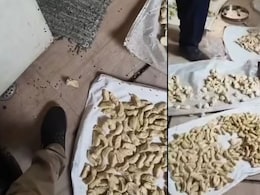 Momos Swarmed By Flies, 20 Litres Coloured Chutney Seized In Kanpur Food Safety Raid