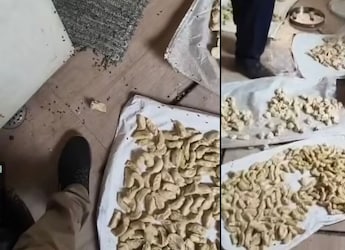 Momos Swarmed By Flies, 20 Litres Coloured Chutney Seized In Kanpur Food Safety Raid