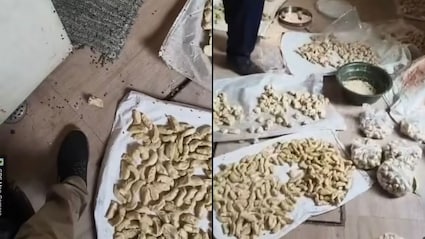 Momos Swarmed By Flies, 20 Litres Coloured Chutney Seized In Kanpur Raid