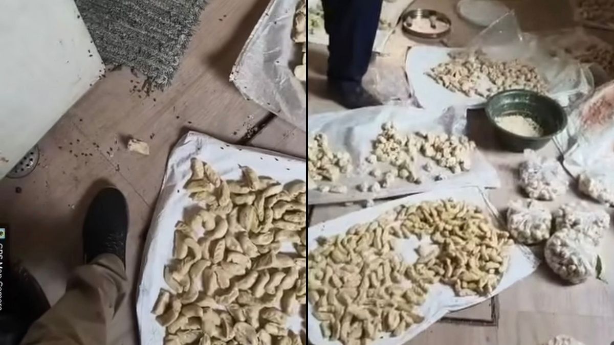 Momos Swarmed By Flies, 20 Litres Coloured Chutney Seized In Kanpur Raid