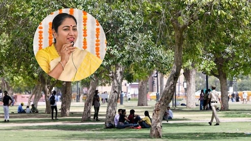 दिल्ली में पेड़ काटा तो खैर नहीं, रेखा गुप्ता सरकार लेगी सख्त ऐक्शन, SOP जारी, 24 घंटे अधिकारी रखेंगे नजर