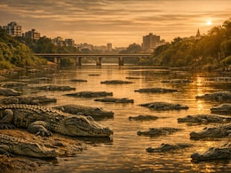 इस भारतीय नदी में हर कदम पर होते हैं मगरमच्छ, रोमांच पसंद हैं तो ही बनाएं प्लान