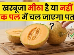खरबूजा मीठा है कैसे पहचानें? खरीदने से पहले करना होगा ये काम बिना काटे चल जाएगा पता!