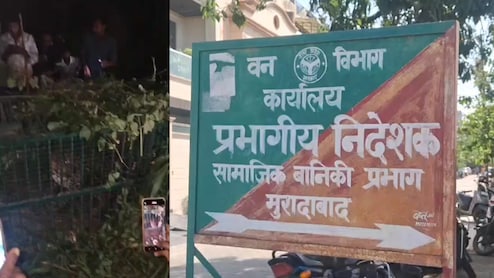 मुरादाबाद में आतंक का अंत: आदमखोर तेंदुआ पिंजरे में कैद, लोगों ने ली राहत की सांस&nbsp;