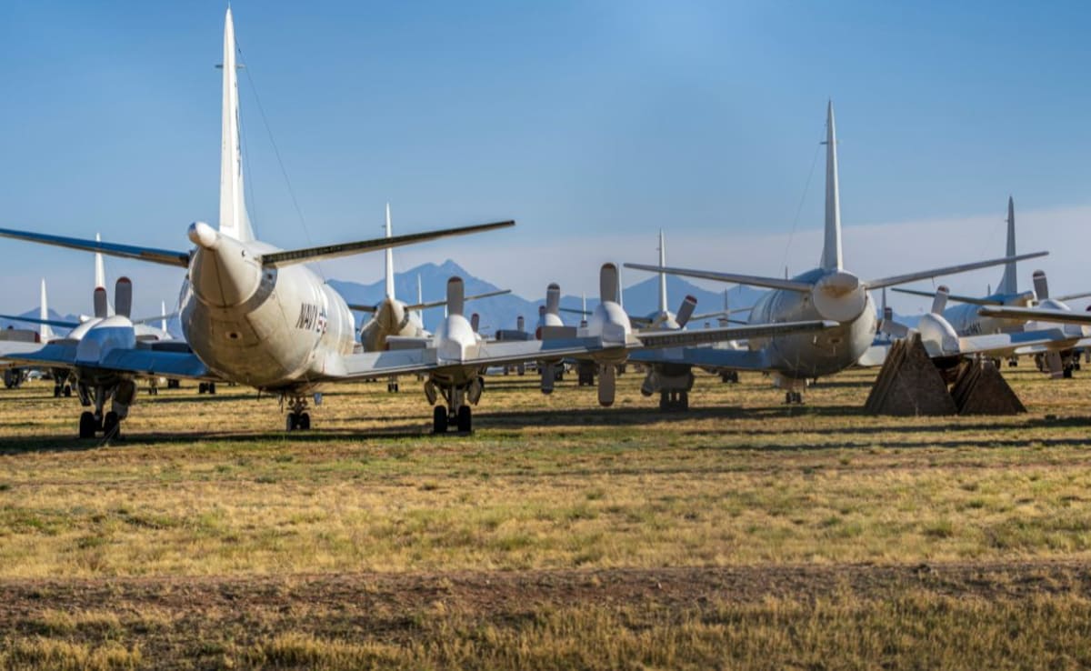 They play a crucial role in both commercial and military aviation.