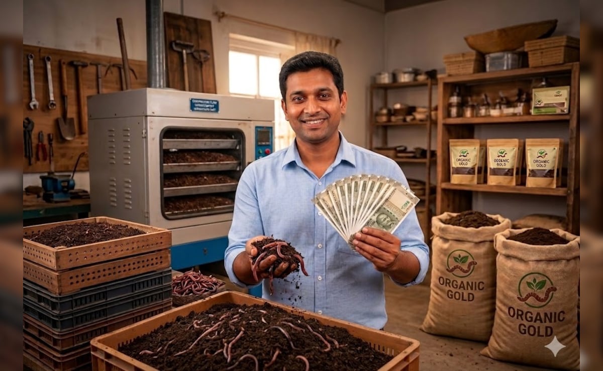 Vermi Compost Business: नौकरी की टेंशन छोड़िए...'काले सोने'की खेती से हर साल होगी 20 लाख तक की कमाई, केंचुए बनाएंगे आपको लखपति!