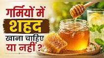 गर्मियों में शहद कैसे खाएं? इस ट्र‍िक से खाया शहद, तो शरीर को गर्मी में भी म‍िलेगी ठंडक