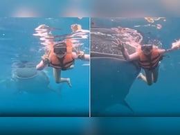 समंदर में फोटोशूट के बीच घुसी 'व्हेल शार्क', महिला का रिएक्शन हुआ वायरल