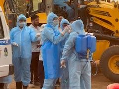 African swine fever: अफ्रीकन स्वाइन फीवर से छत्तीसगढ़ के इस शहर में मचा हड़कंप, आनन-फानन में सुअरों को उतारा गया मौत के घाट