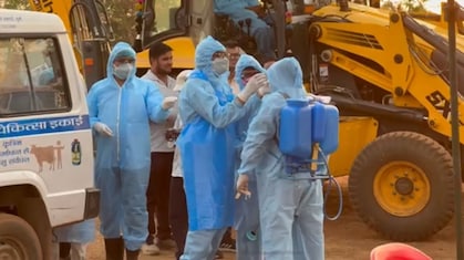 African swine fever से छत्तीसगढ़ के इस शहर में मचा हड़कंप, आनन-फानन में सुअरों को उतारा गया मौत के घाट