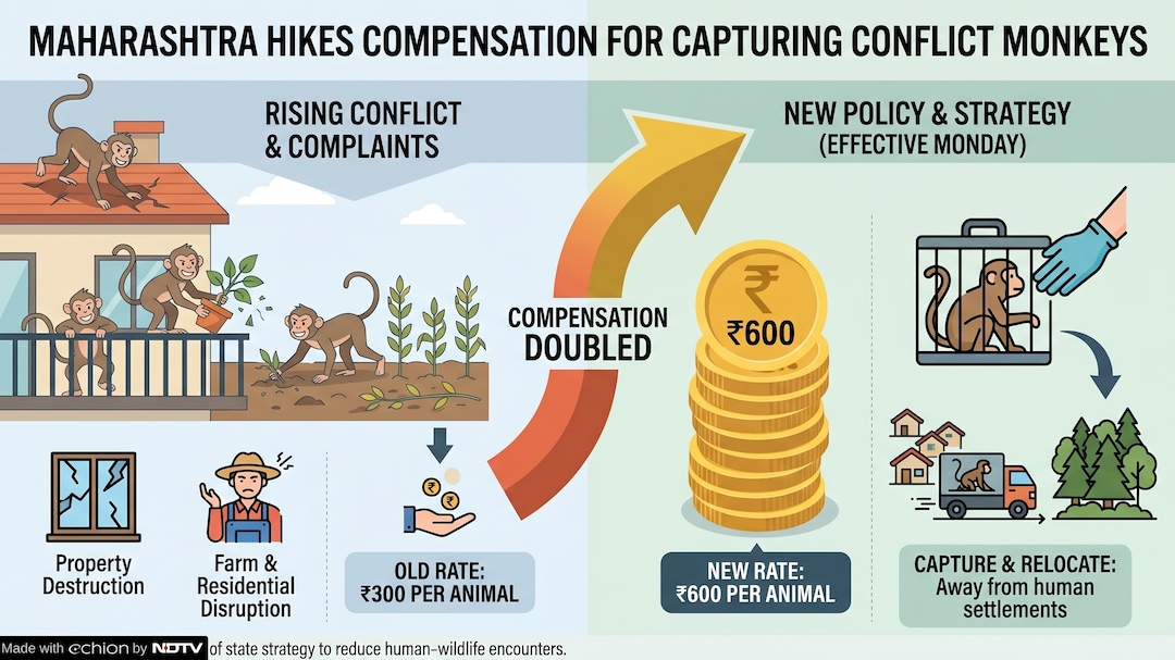 Latest and Breaking News on NDTV