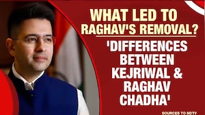 "Talking About Samosas": AAP Hits Back At Raghav Chadha's "Silenced" Remark