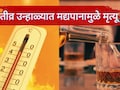 Alcohol in Summer Heat : तीव्र उन्हाळ्यात मद्यपानामुळे मृत्यू? 2 घटनांनी महाराष्ट्र हादरला; डॉक्टरांकडूनही सावधानतेचा इशारा