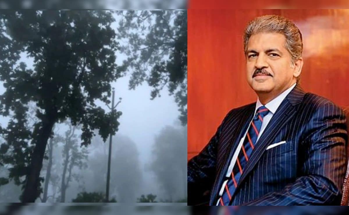 उद्योगपति आनंद महिंद्रा झारखंड की सुंदरता पर फ‍िदा, बोले- यहां बहुत कुछ है, बस हमने बताया नहीं