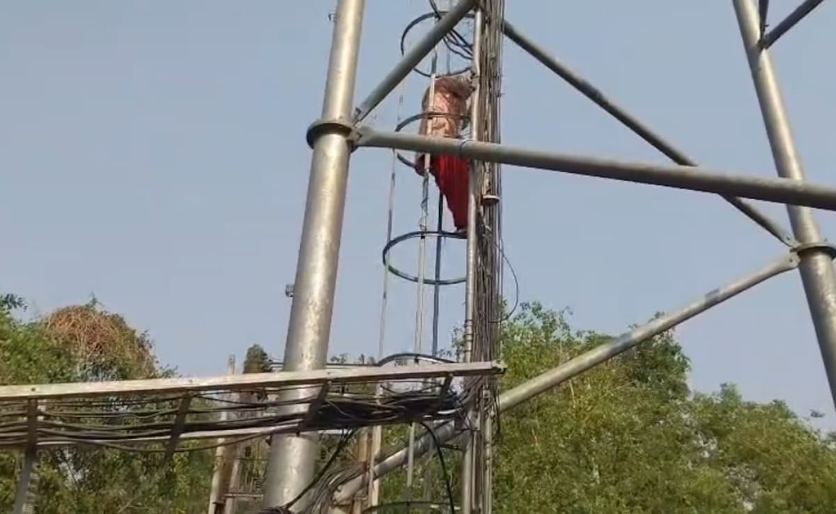 अरवल में हाई वोल्टेज ड्रामा: मंदिर में शादी के बाद प्रेमी ने दिया धोखा, दूसरी शादी की खबर सुन टावर पर चढ़ी प्रेमिका