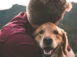 मौत के मुंह से वापस आया Dog! ChatGPT की मदद से शख्स ने अपने कुत्ते का कैंसर किया ठीक