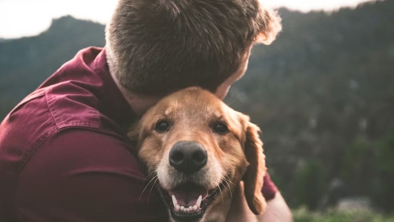 मौत के मुंह से वापस आया Dog! ChatGPT की मदद से शख्स ने अपने कुत्ते का कैंसर किया ठीक