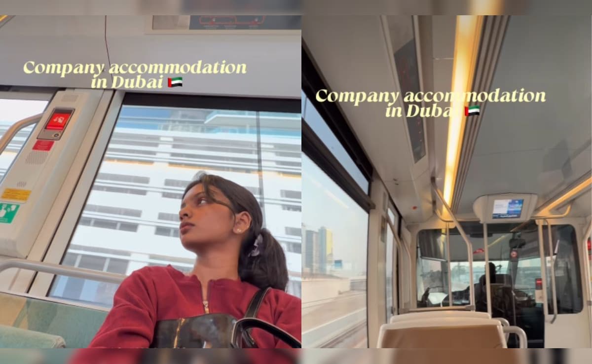 The Art of Baking: From Classic Bread to Artisan Pastries