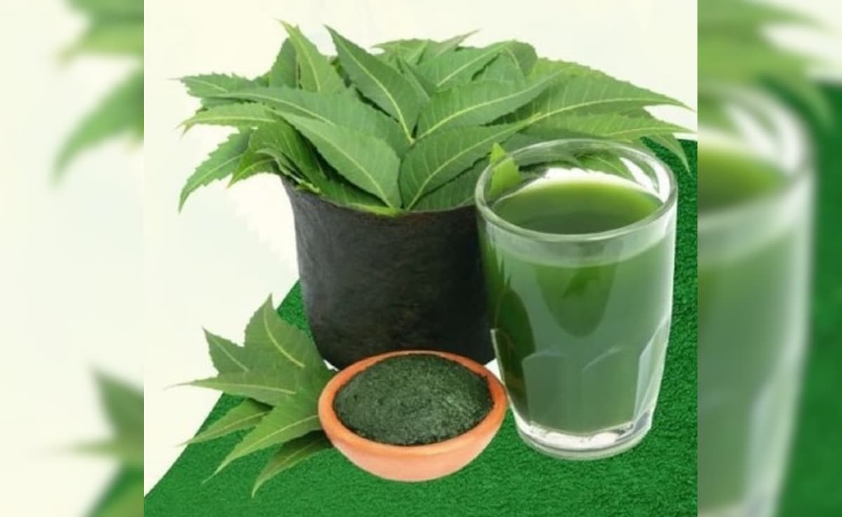 लिवर को अंदर से साफ करने का काम करता है ये हरा पत्ता, जानें फायदे और सेवन का तरीका