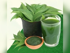 लिवर को अंदर से साफ करने का काम करता है ये हरा पत्ता, जानें फायदे और सेवन का तरीका