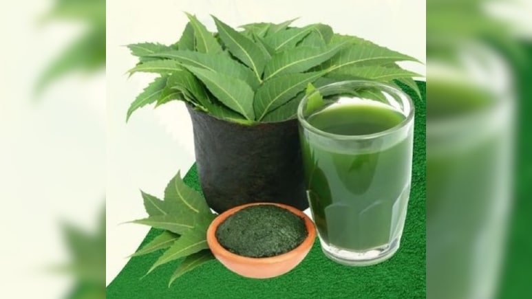 लिवर को अंदर से साफ करने का काम करता है ये हरा पत्ता, जानें फायदे और सेवन का तरीका