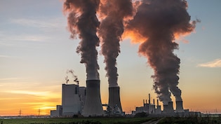 Torrent Power Q1 Results: Profit Slumps 13%; Revenue, Margins See Slight Uptick