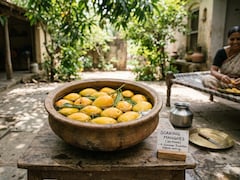 Why You Must Soak Mangoes For 30 Minutes Before Eating: A Gastroenterologist Explains The Health Benefits