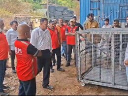 Khandala Ghat: खंडाळा घाटातून प्रवास करताय? मग ही बातमी वाचाच; 'या' पद्धतीनं कमी होणार बिबट्याची दहशत