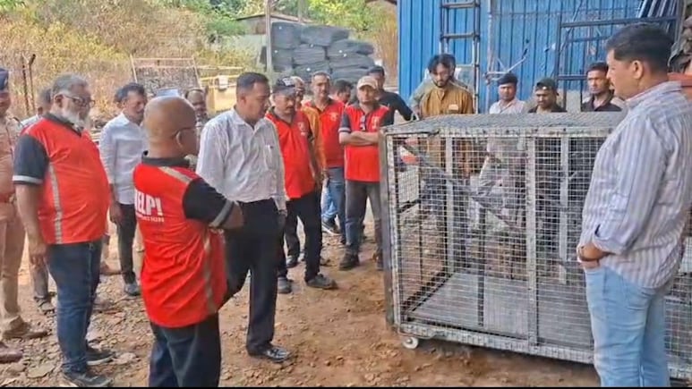 Khandala Ghat: खंडाळा घाटातून प्रवास करताय? मग ही बातमी वाचाच; 'या' पद्धतीनं कमी होणार बिबट्याची दहशत