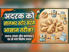 न सूखेगा, न खराब होगा, यहां जानें गर्मियों में अदरक को स्टोर करने का तरीका, महीनों तक रहेगा ताजा!