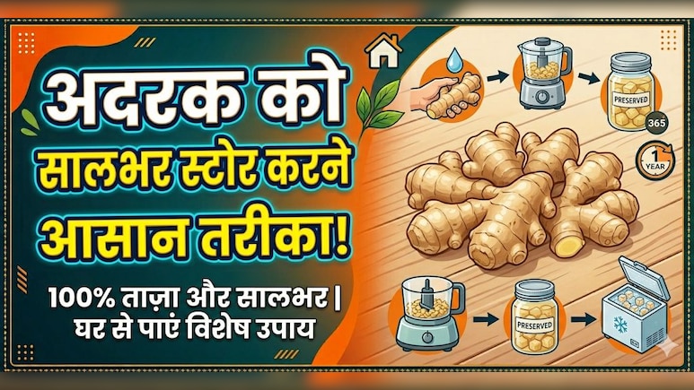 न सूखेगा, न खराब होगा, यहां जानें गर्मियों में अदरक को स्टोर करने का तरीका, महीनों तक रहेगा ताजा!