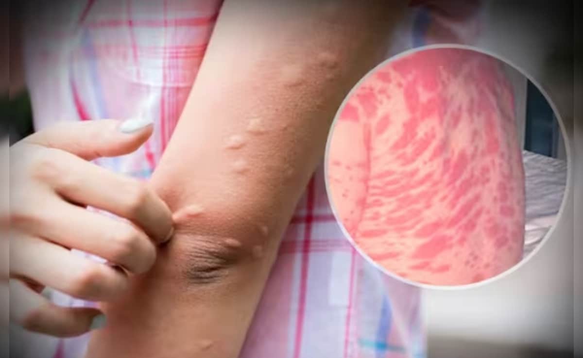 Latest and Breaking News on NDTV