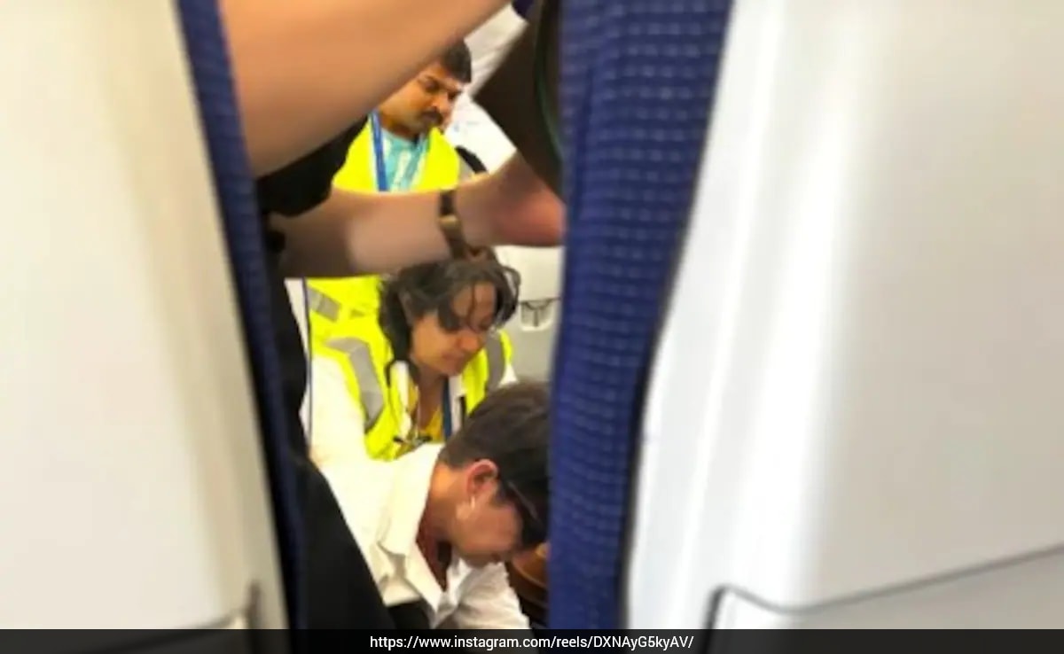 The Art of Baking: From Classic Bread to Artisan Pastries