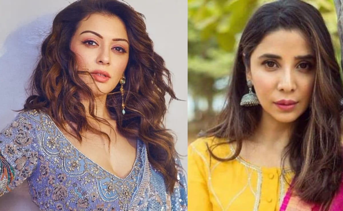 हंसिका मोटवानी ने एक्स भाभी पर ठोका 2 करोड़ का मानहानि केस, फैमिली ड्रामा पहुंचा कोर्ट