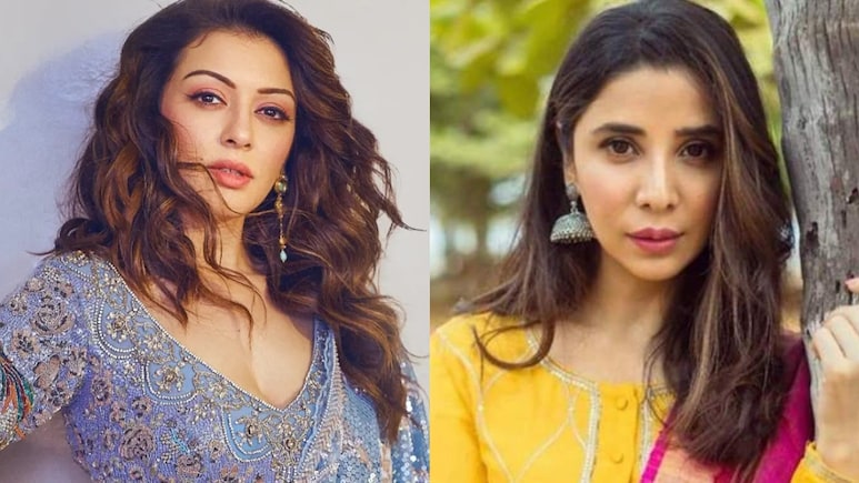 हंसिका मोटवानी ने एक्स भाभी पर ठोका 2 करोड़ का मानहानि केस, फैमिली ड्रामा पहुंचा कोर्ट