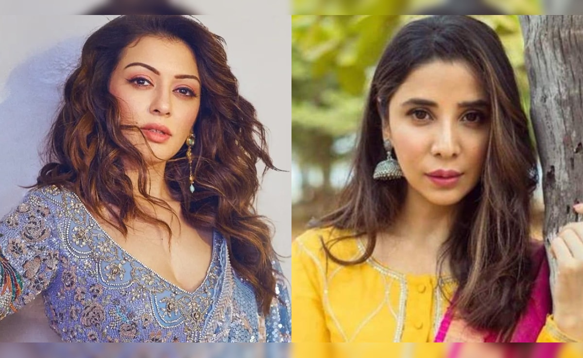 हंसिका मोटवानी ने एक्स भाभी पर ठोका 2 करोड़ का मानहानि केस, फैमिली ड्रामा पहुंचा कोर्ट