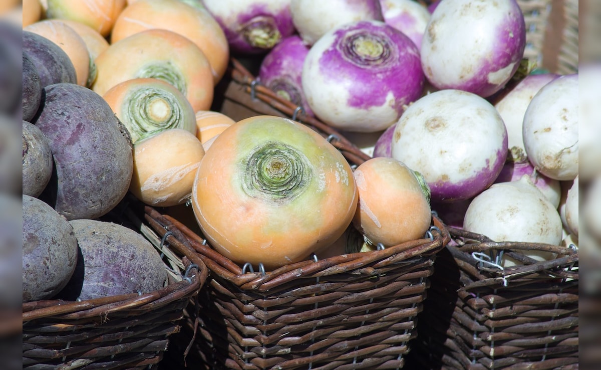 Latest and Breaking News on NDTV