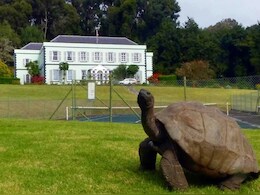 सदियों का गवाह...मिलिए दुनिया के सबसे उम्रदराज कछुए से, उम्र सुनकर चकरा जाएगा दिमाग!