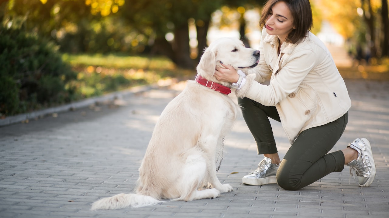 A Dog is  the only thing on earth that loves you more than you love yourself