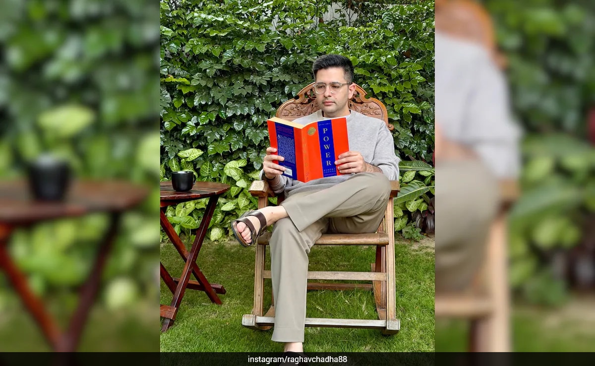 "Never Outshine The Master": Raghav Chadha's Cryptic Post Amid AAP Row