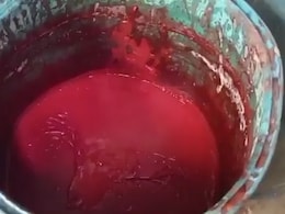 200 Litres of Chemical-Laced Sauce Served With Momos, Chowmein Destroyed In Uttar Pradesh Raid