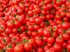 Tomato Storing Tips For Summers: गर्मी में गल जाते हैं टमाटर? बिना फ्रिज के हफ्तों तक फ्रेश रखने के ये आसान देसी तरीके आजमाएं