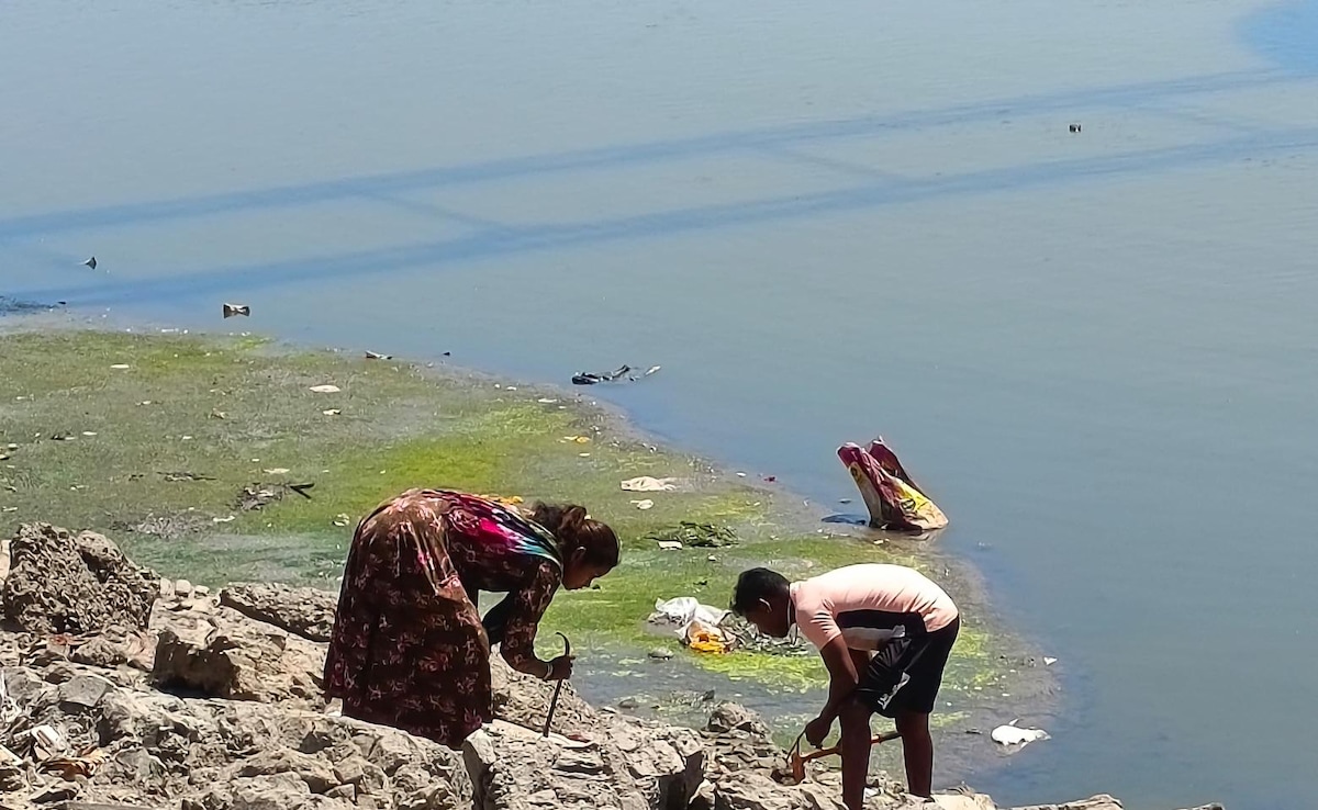 Sabarmati's Flow Halted For Repairs, Sparking An Unprecedented 'Gold Rush'