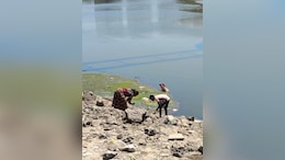 Sabarmati's Flow Halted For Repairs, Sparking An Unprecedented 'Gold Rush'