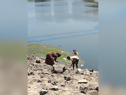 Sabarmati's Flow Halted For Repairs, Sparking An Unprecedented 'Gold Rush'