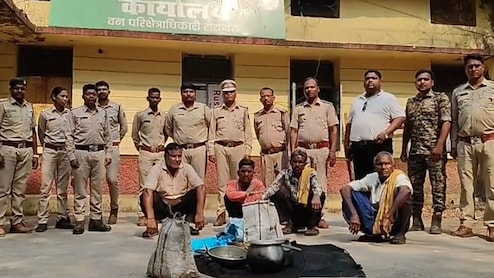 पहले कुत्तों से हिरण को बचाया, फिर खुद ही शिकार कर आपस में बांटा मांस; पांच आरोपी गिरफ्तार