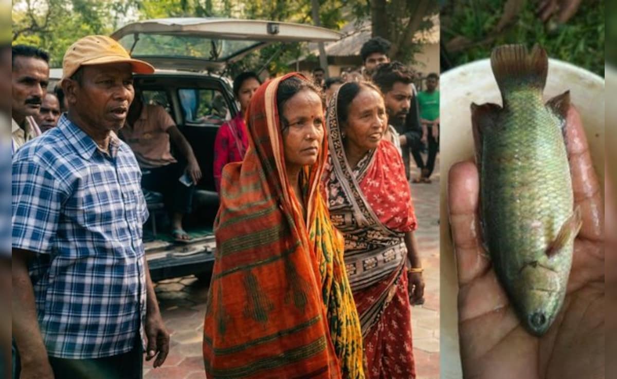 युवक के गले में फंसी जिंदा मछली, मौत; तालाब में फिशिंग करते समय हुआ हादसा